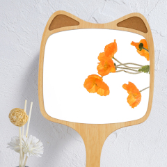 小圆方木质美容镜