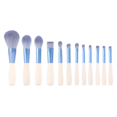Makeup brush set