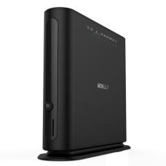 HL-550A LTE CAT4 CPE