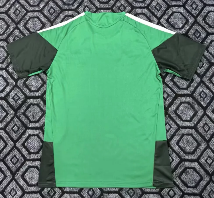 2026-27 Algeria green training suit Football Jersey