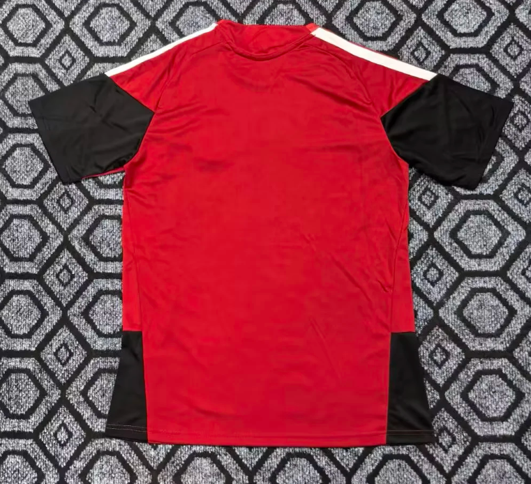 2026-27 Germany Red training suit Football Jersey