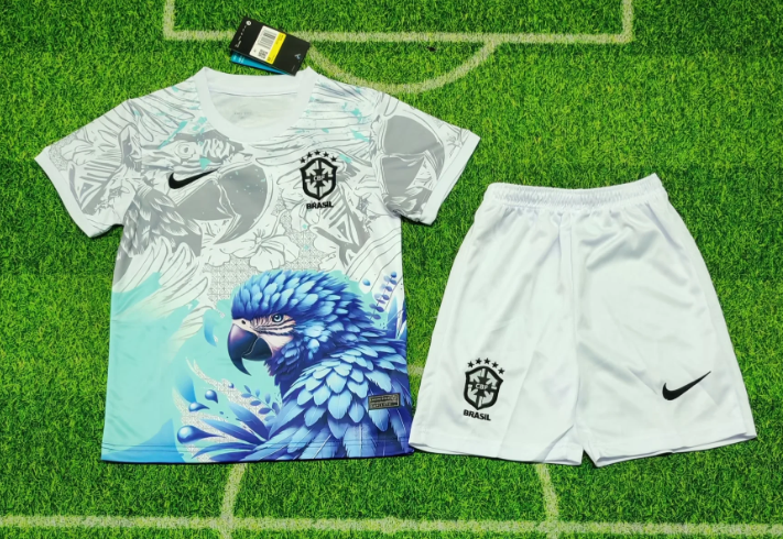 26/27 Brazilian Parrot version Football Kit
