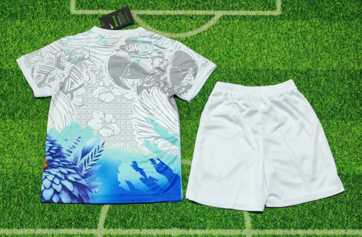 26/27 Brazilian Parrot version Football Kit