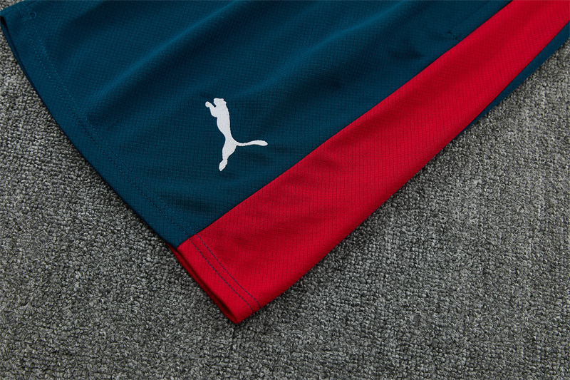2026/27  Portugal Red and green Short Sleeve Tracksuits