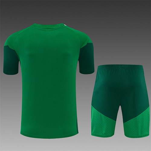 2026/27 Algeria green Short Sleeve Tracksuits