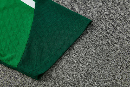 2026/27 Algeria green Short Sleeve Tracksuits