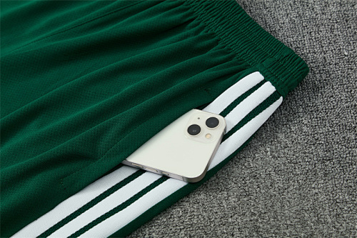 2026/27 Algeria green Short Sleeve Tracksuits