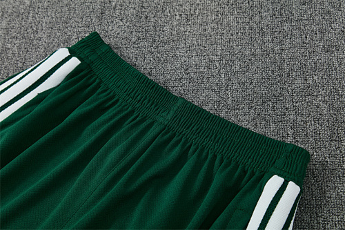 2026/27 Algeria green Short Sleeve Tracksuits