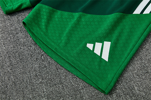 2026/27 Algeria green Short Sleeve Tracksuits