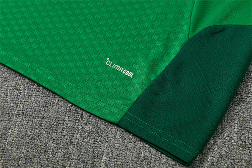 2026/27 Algeria green Short Sleeve Tracksuits