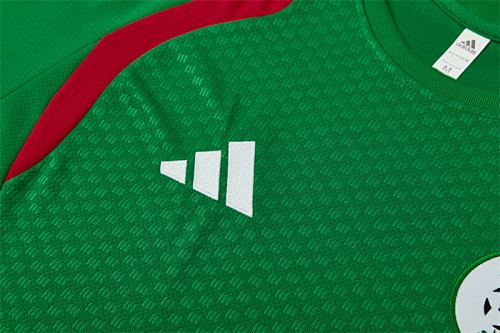 2026/27 Algeria green Short Sleeve Tracksuits