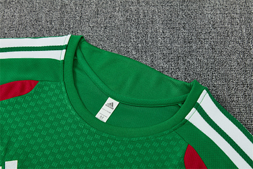 2026/27 Algeria green Short Sleeve Tracksuits