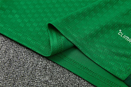 2026/27 Algeria green Short Sleeve Tracksuits
