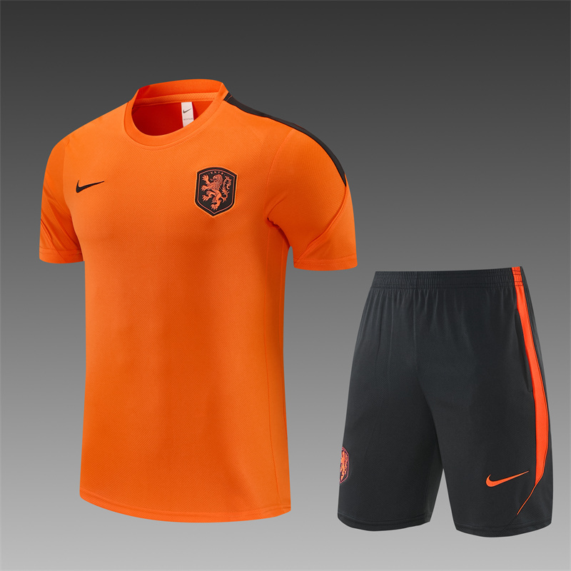 2026/27 Netherlands orange Short Sleeve Tracksuits