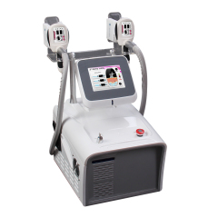 Best Home Equipment Full Body Cryotherapy Cryolipolysis Cellulite Loss Treatment Cryo Weight Loss Machine