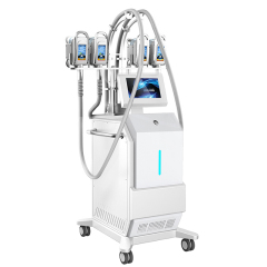 Newest 5 Treatment Handles Cryolipolyse Slimming Fat Reduction Machine