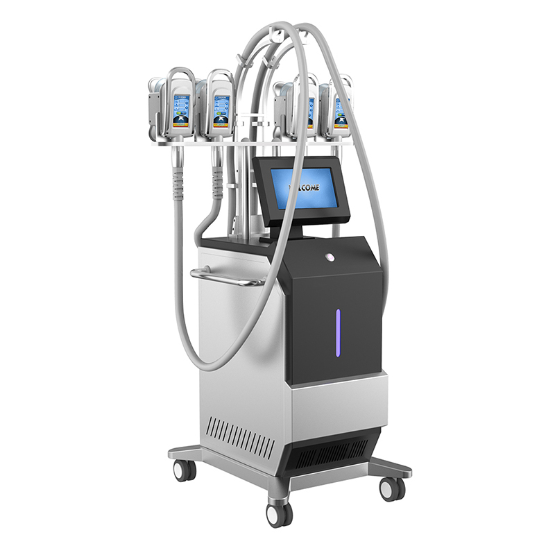 Newest 5 Treatment Handles Cryolipolyse Slimming Fat Reduction Machine