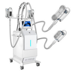 Newest 5 Treatment Handles Cryolipolyse Slimming Fat Reduction Machine