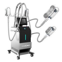 Newest 5 Treatment Handles Cryolipolyse Slimming Fat Reduction Machine