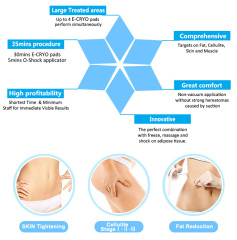 No Vacuum Body Sculpting Multifunction Portable Cryolipolysis Fat Freezing Pads Machine