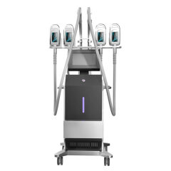 Newest 5 Treatment Handles Cryolipolyse Slimming Fat Reduction Machine