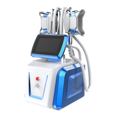 Portable Cryo 360 Weight Loss Slimming Cryotherapy Machine Beauty Equipment