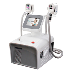 2 in 1 Cryo Fat Freezing Vacuum Roller Silmming Machine