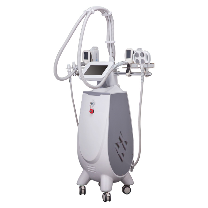 3 Handles Cryolipolyse Slimming Beauty Machine / Vacuum Rf Radio Frequency For Weight Loss