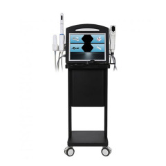 Portable 4 In 1 Radar Carving + 4D +Privacy+Detection Hifu Beauty Instrument