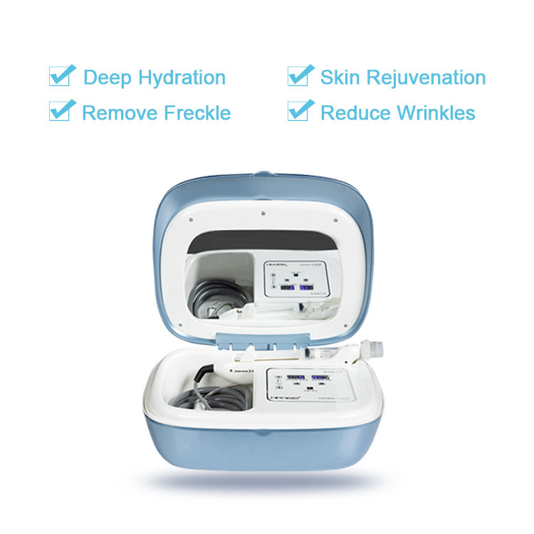 Portable Mesotherapy Gun 9 Pins Meso Injector Water Machine For Salon Use