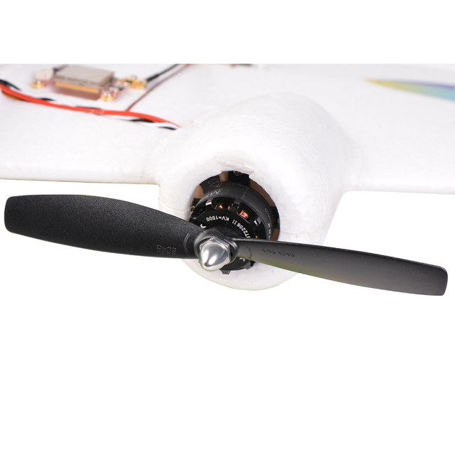 Arkbird - Arkpilot Vertical Take-off and Landing (VTOL) RC FPV Airplane PNP (Standard Set)