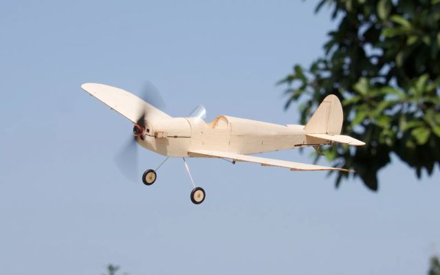 Minimum RC 460mm wingspan Balsa Spacewalker