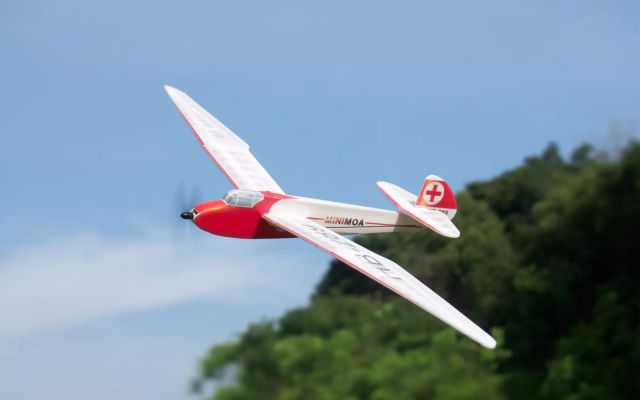 Minimum RC 700mm wingspan Minimoa glider