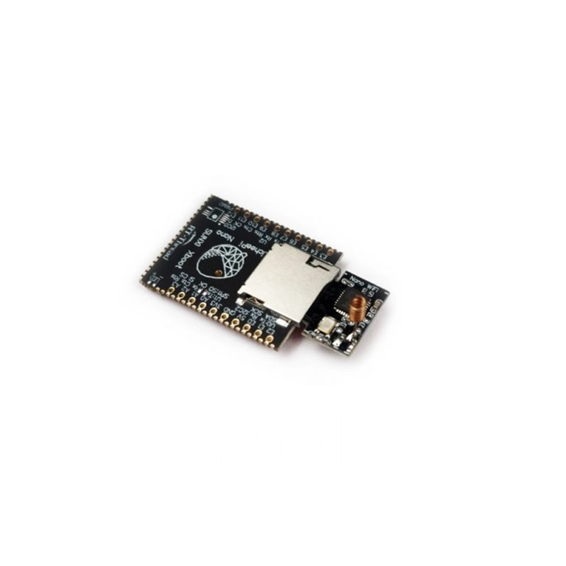 Sipeed Lichee Nano  With16M Flash Linux Version IOT Internet of Things