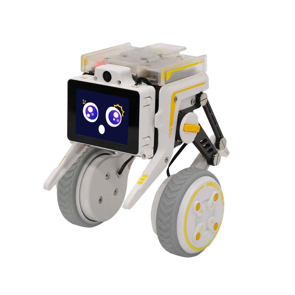 Rider-Pi Two Wheel-legged Robot Car Kit (Raspberry Pi CM4) - AI Vision, Face Recognition, Programmable Robot for Developers and Educators