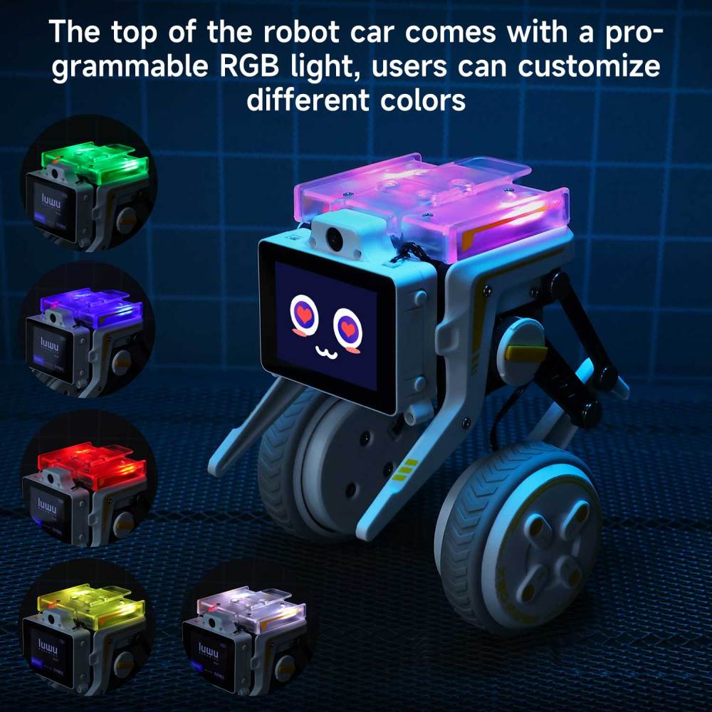 Rider-Pi Two Wheel-legged Robot Car Kit (Raspberry Pi CM4) - AI Vision, Face Recognition, Programmable Robot for Developers and Educators