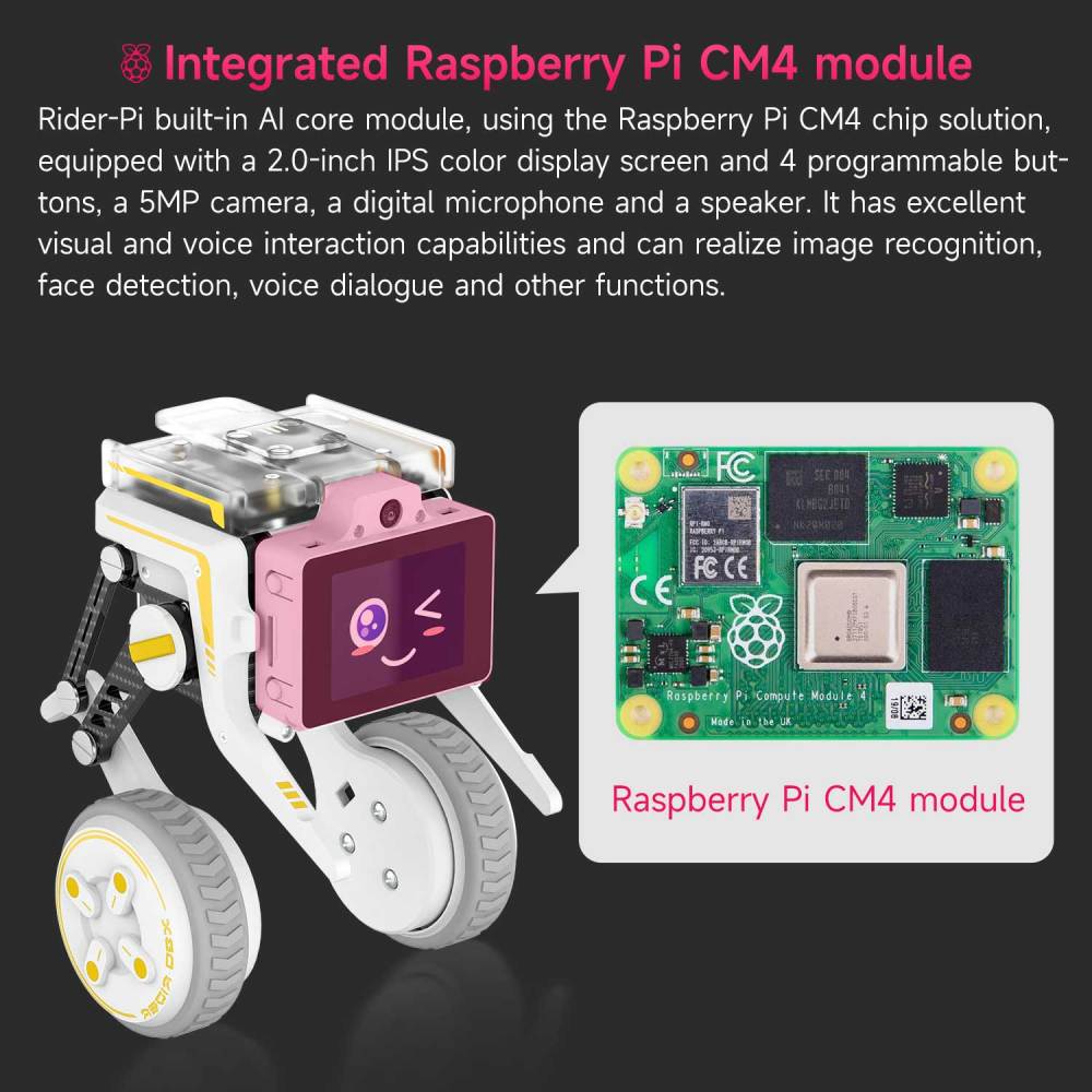 Rider-Pi Two Wheel-legged Robot Car Kit (Raspberry Pi CM4) - AI Vision, Face Recognition, Programmable Robot for Developers and Educators