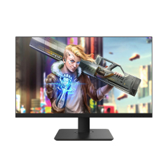 24.5 inch 165Hz gaming monitor