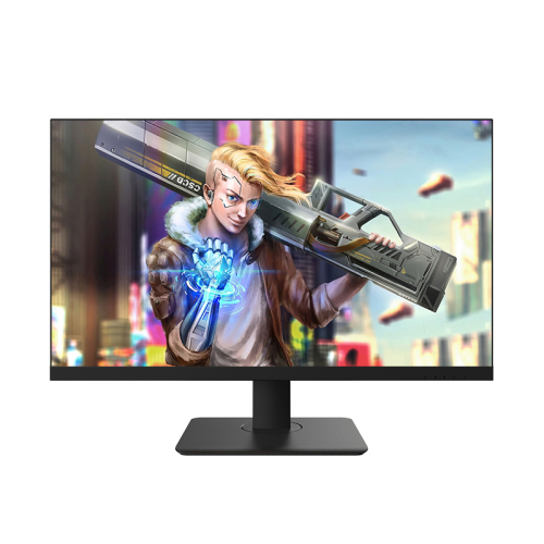 24.5 inch 165Hz gaming monitor