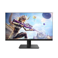 24.5 inch 165Hz gaming monitor