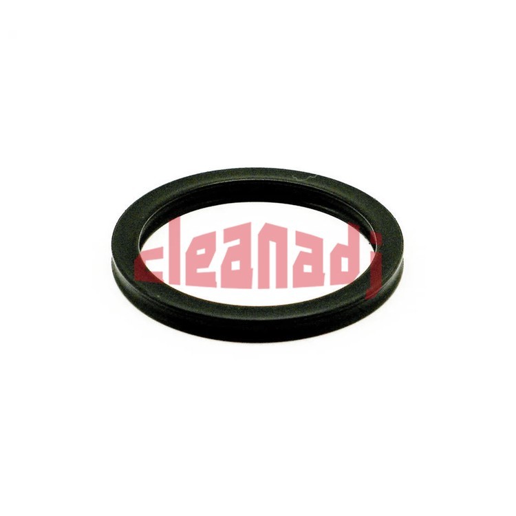 Wholesale Cummins Engine Parts Water Seal 5269879