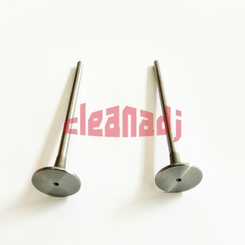 Wholesale Cummins Engine Parts Exhaust Valve 3680759