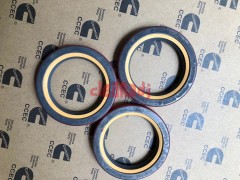 Wholesale Diesel engine parts3628895 K19 K38 K50 QSK Diesel Engine Oil Seal