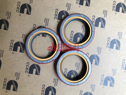 Wholesale Diesel engine parts3016791 Crankshaft front oil seal K19