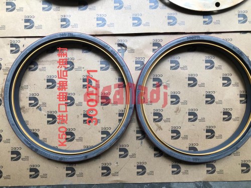 Wholesale Diesel engine parts3001771 Engine Rear Seal oil