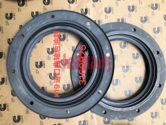 Wholesale Diesel engine parts3160925 crankshaft rear oil seal kta19