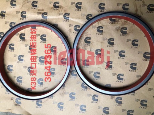 Wholesale Diesel engine parts3642365 K38 K50 Rear Crankshaft Oil Seal Flywheel Housing Oil Seal