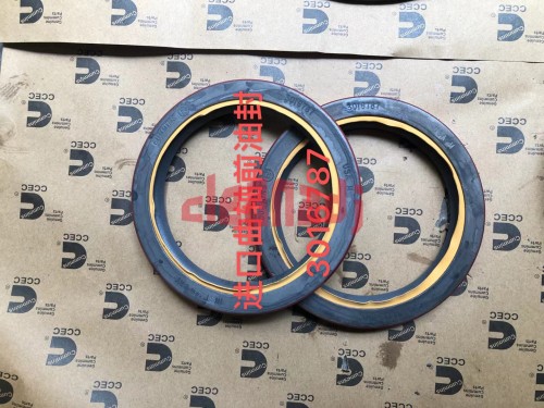 Wholesale Diesel engine parts3016787  Crankshaft front oil seal K19