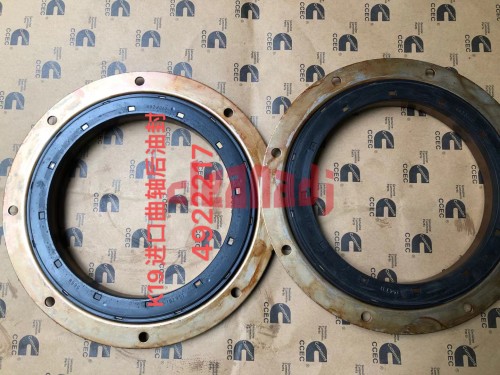 Wholesale Diesel engine parts4922217 Crankshaft Oil Seal Kit 3804704 4089902 3090393