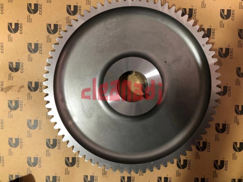 NT855 Camshaft Gear 3035195